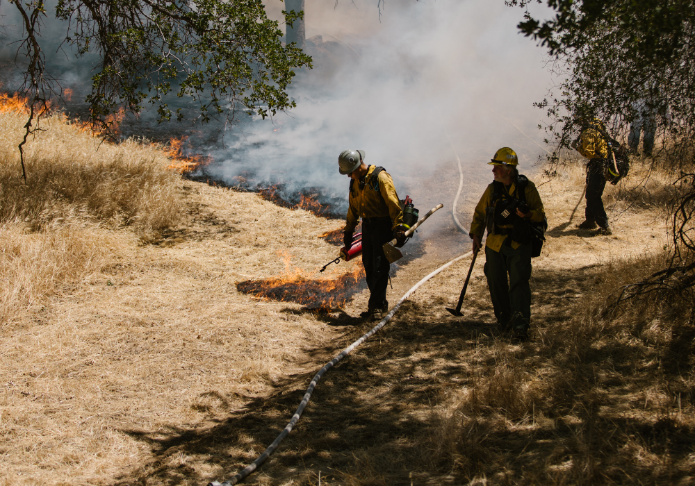 Firefighters fighting a fire during wildfire season. 